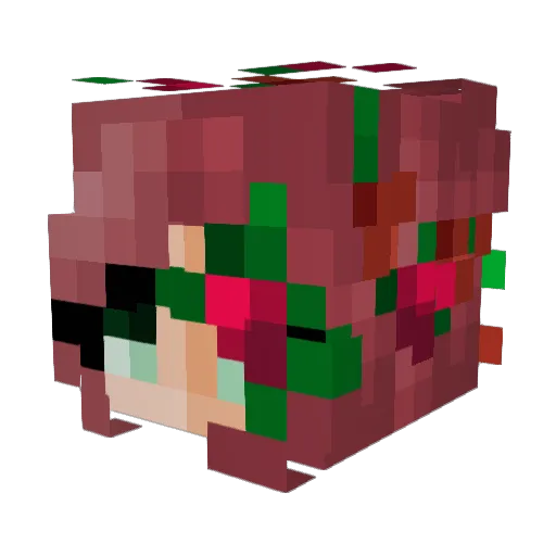 skyejinn Minecraft avatar head, 3D render