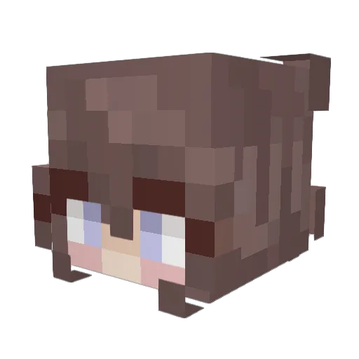 skyerae00 Minecraft avatar head, 3D render