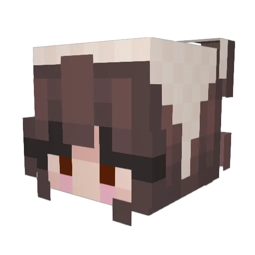 skyerogue Minecraft avatar head, 3D render