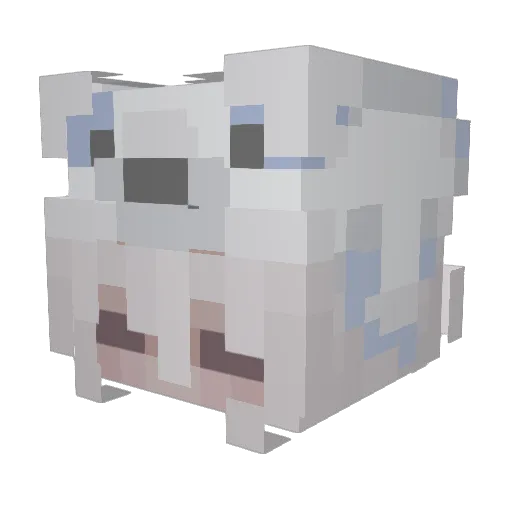 skyesparkle Minecraft avatar head, 3D render