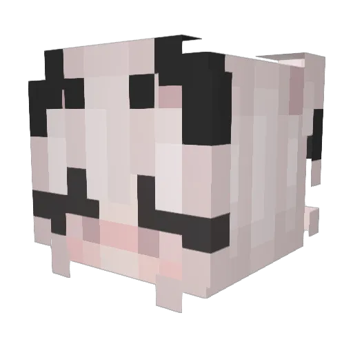 skyexmoon Minecraft avatar head, 3D render