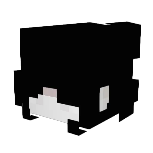 skyexsummers Minecraft avatar head, 3D render