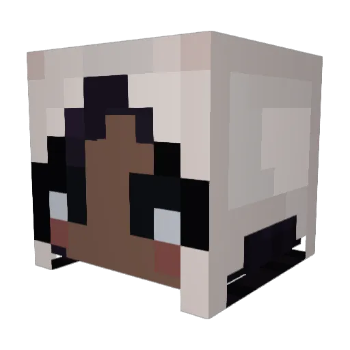 skyfire12329 Minecraft avatar head, 3D render