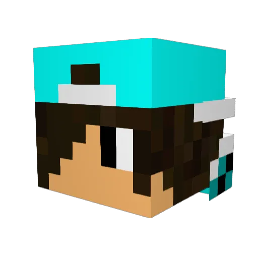 skyforce5631 Minecraft avatar head, 3D render