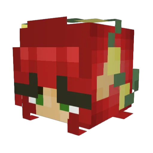 skyfox02 Minecraft avatar head, 3D render