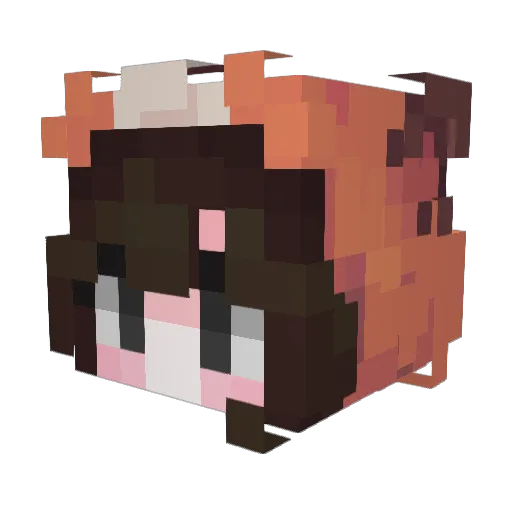 skyfoxx12 Minecraft avatar head, 3D render
