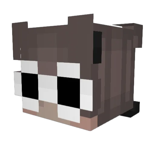 skygod69 Minecraft avatar head, 3D render