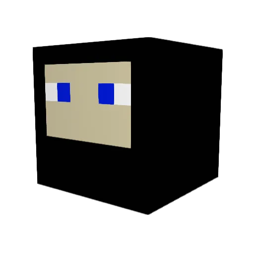 skyguy1018 Minecraft avatar head, 3D render