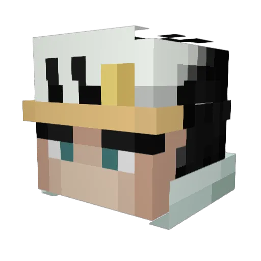 skyguy69 Minecraft avatar head, 3D render