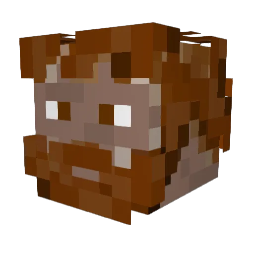 skyhather Minecraft avatar head, 3D render