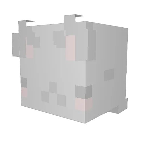 skyheart28 Minecraft avatar head, 3D render