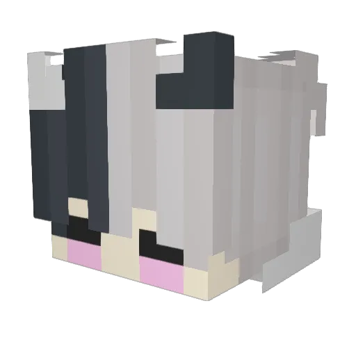 skyicarus Minecraft avatar head, 3D render