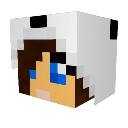 skyla30 Minecraft avatar head, 3D render