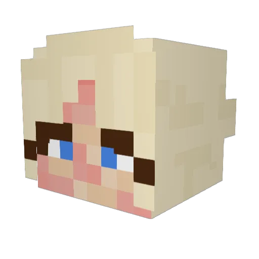 skylajames Minecraft avatar head, 3D render