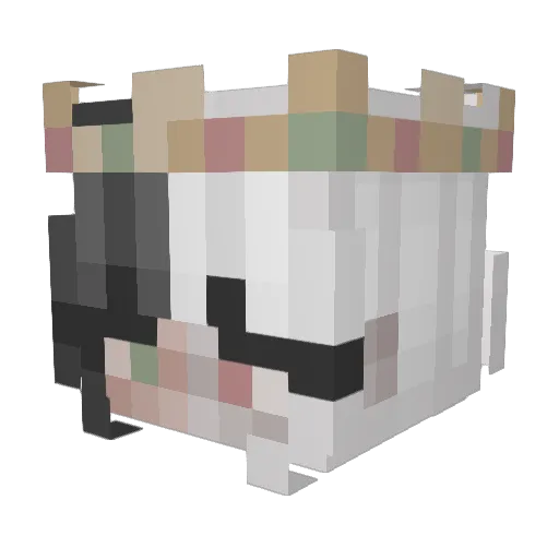 skylar10123 Minecraft avatar head, 3D render