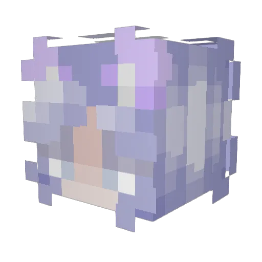 skylar1313 Minecraft avatar head, 3D render
