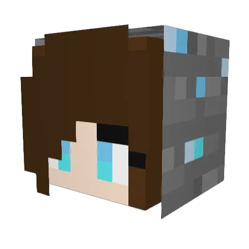 skyler12 Minecraft avatar head, 3D render