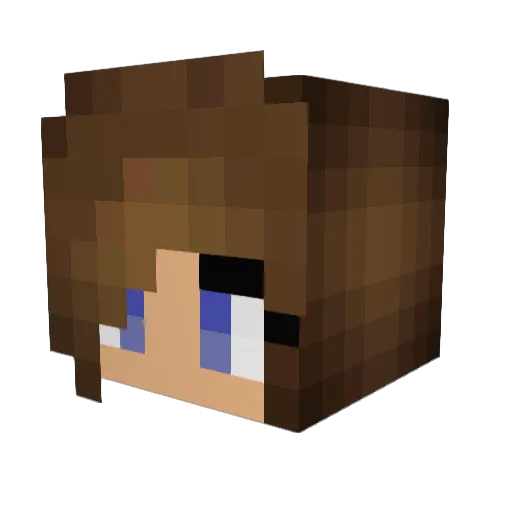 skyler533x Minecraft avatar head, 3D render