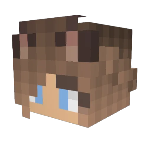 skylercookie Minecraft avatar head, 3D render