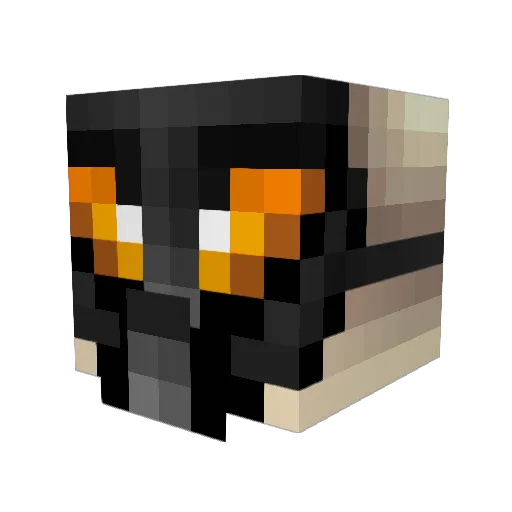 skylerism99 Minecraft avatar head, 3D render