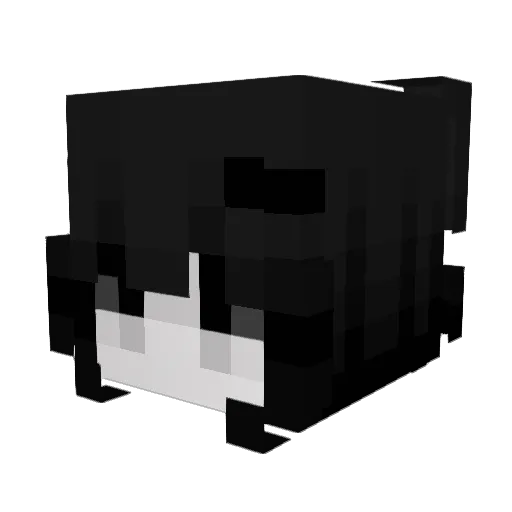 skylerr27 Minecraft avatar head, 3D render