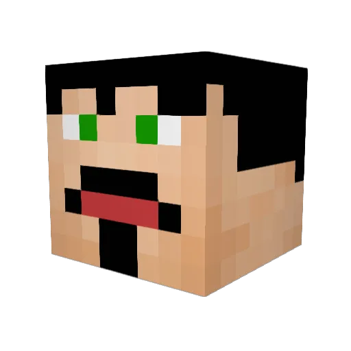 skylersurfs Minecraft avatar head, 3D render