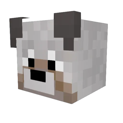 skylord1234 Minecraft avatar head, 3D render