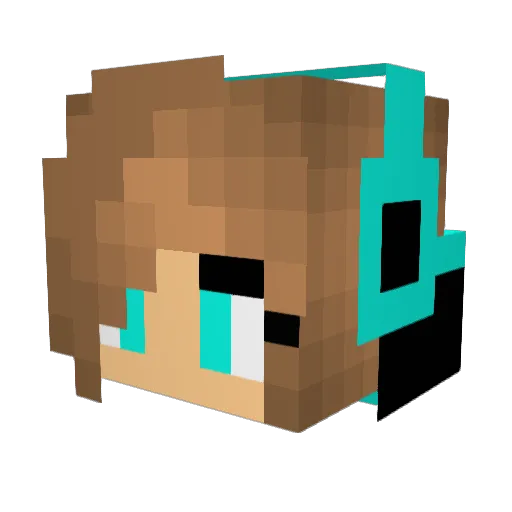 skylove52502 Minecraft avatar head, 3D render