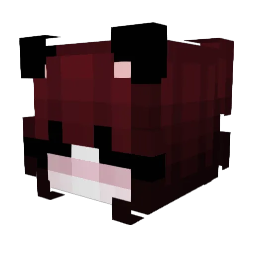 skymeaow Minecraft avatar head, 3D render