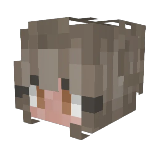 skymona Minecraft avatar head, 3D render