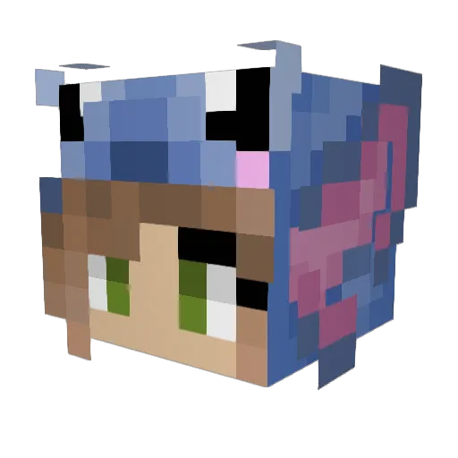 skymouseyfly468 Minecraft avatar head, 3D render