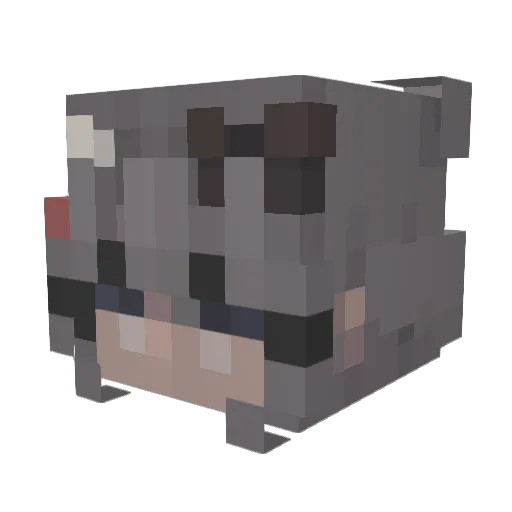 skyness9290 Minecraft avatar head, 3D render