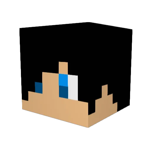 skyns55 Minecraft avatar head, 3D render
