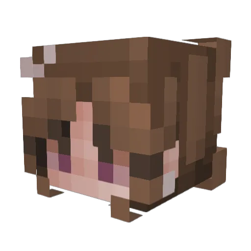skyofheaven Minecraft avatar head, 3D render