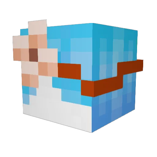 skyontheair Minecraft avatar head, 3D render