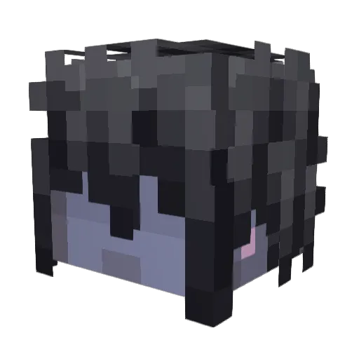skystone15 Minecraft avatar head, 3D render