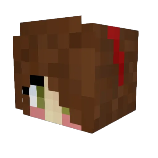 skystorm99 Minecraft avatar head, 3D render