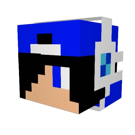 skytae_ Minecraft avatar head, 3D render