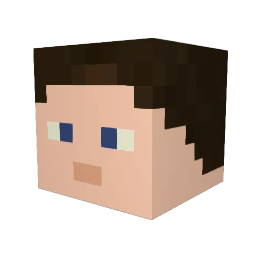 skytt888 Minecraft avatar head, 3D render