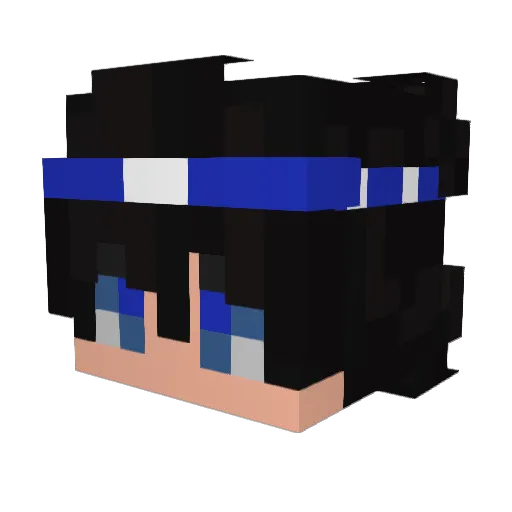 skyuniverse0 Minecraft avatar head, 3D render