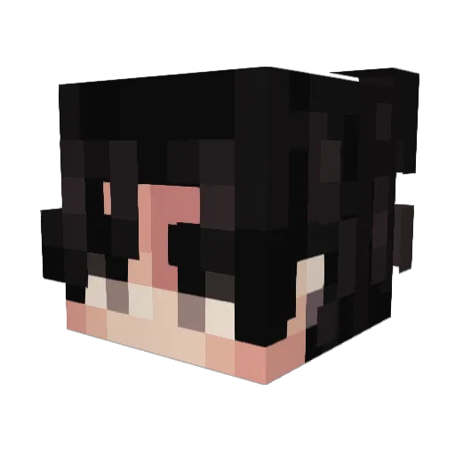 skyvibrations Minecraft avatar head, 3D render