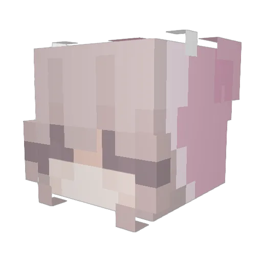 skywah Minecraft avatar head, 3D render