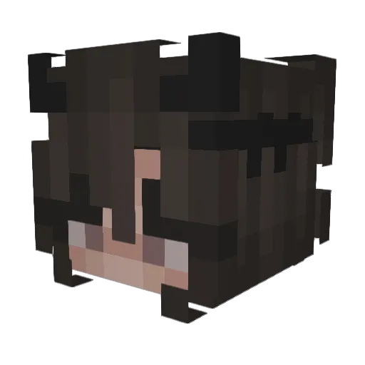 skywalk9922 Minecraft avatar head, 3D render