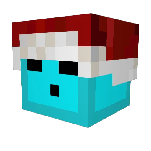 skywalker526 Minecraft avatar head, 3D render