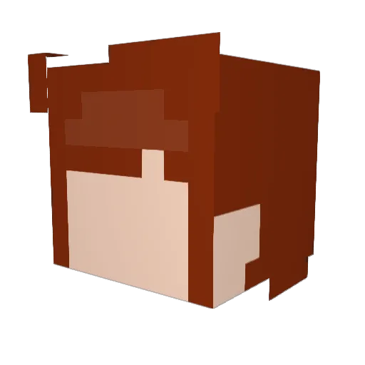 skywl Minecraft avatar head, 3D render