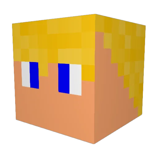skyzone_employee Minecraft avatar head, 3D render