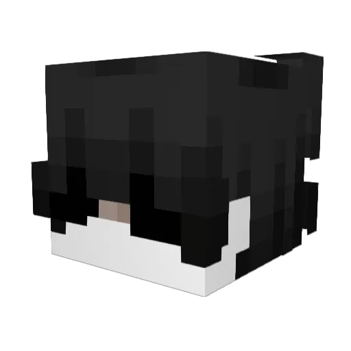 sl0dziak Minecraft avatar head, 3D render