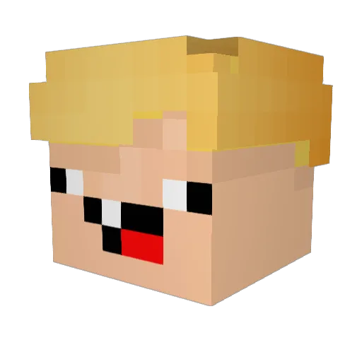 sl3epwell Minecraft avatar head, 3D render