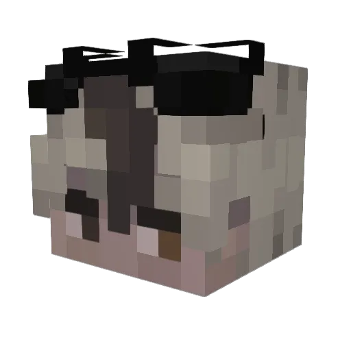 sl_rrr Minecraft avatar head, 3D render