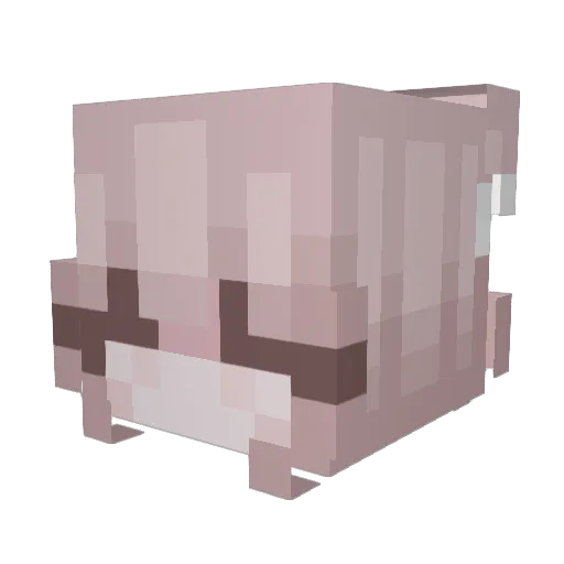 sla43r Minecraft avatar head, 3D render